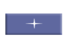 Capital Services System